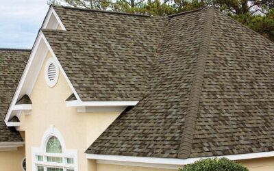 TruDefinition® Duration® Shingles ct