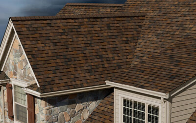 WeatherGuard® HP Shingles ct